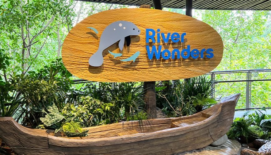 Make Your Trip Memorable With us