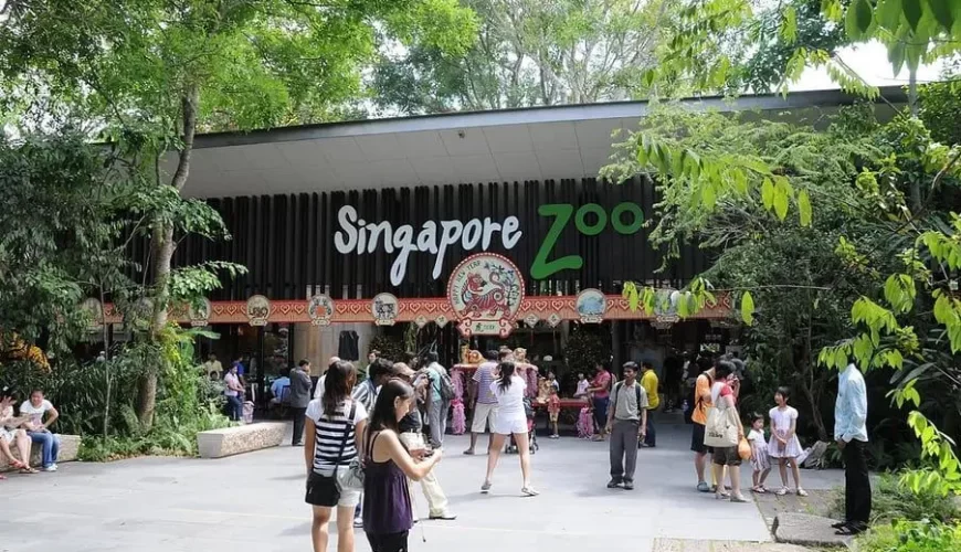 Make Your Trip Memorable With us