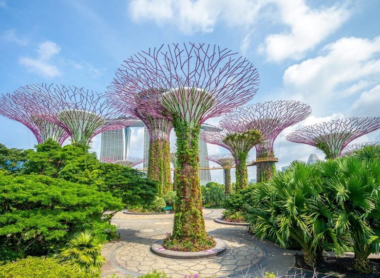 Make Your Trip Memorable With us