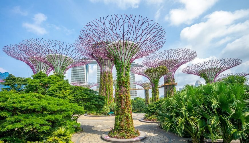 Make Your Trip Memorable With us