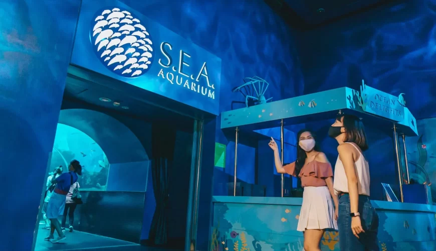 Make Your Trip Memorable With us