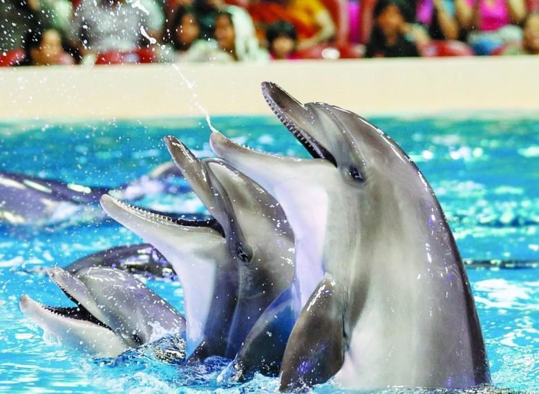 Make Your Trip Memorable With us