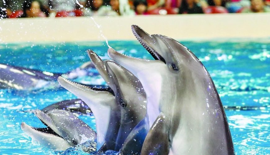 Make Your Trip Memorable With us