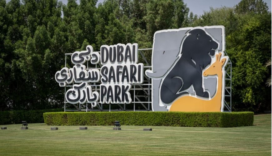 Make Your Trip Memorable With us