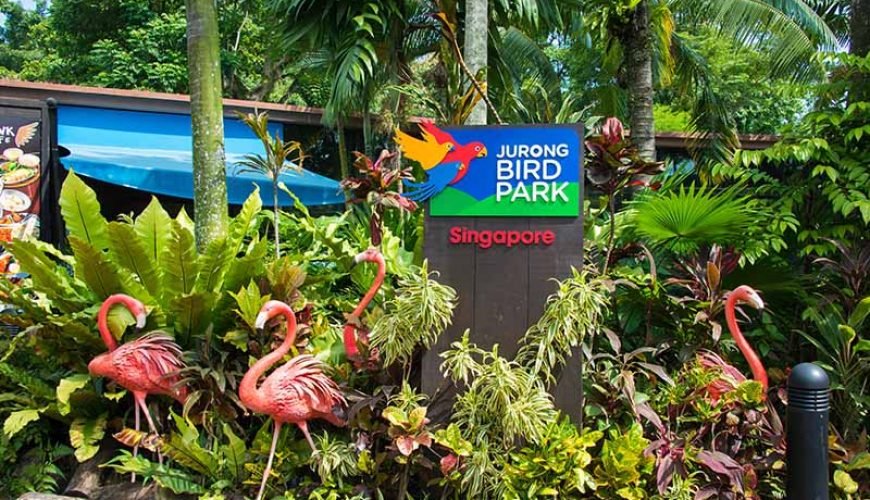 Make Your Trip Memorable With us