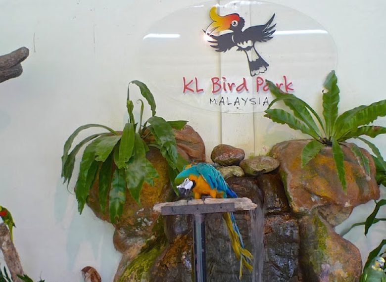 Make Your Trip Memorable With us