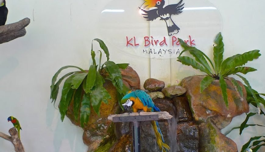 Make Your Trip Memorable With us