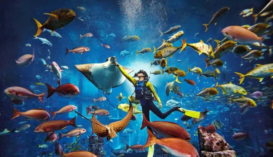 Make Your Trip Memorable With us