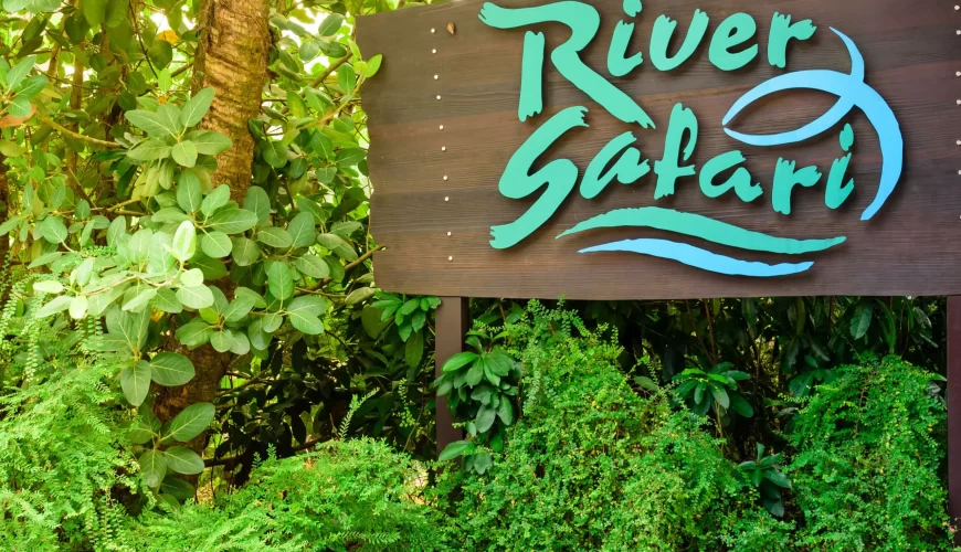 Make Your Trip Memorable With us