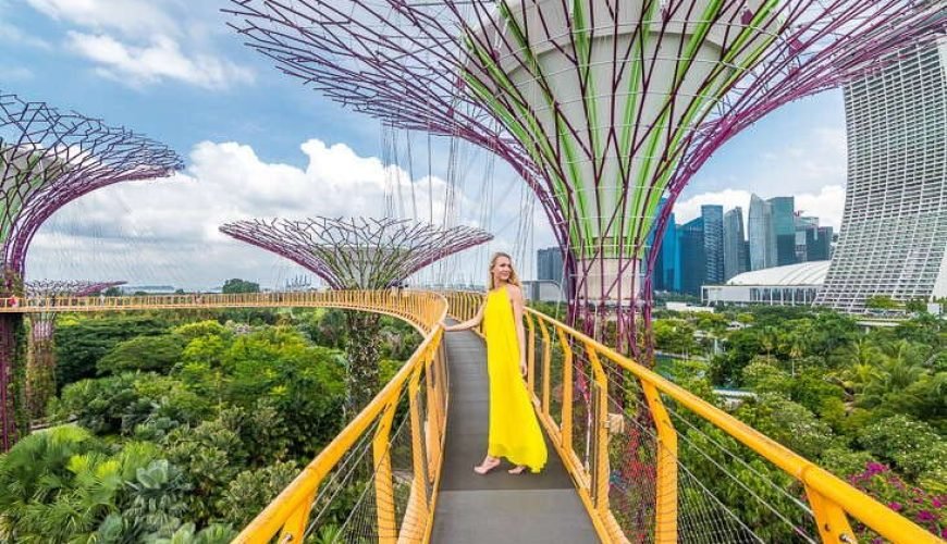 Make Your Trip Memorable With us