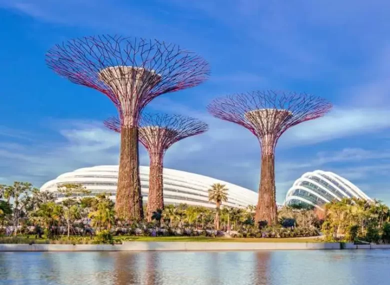 Make Your Trip Memorable With us