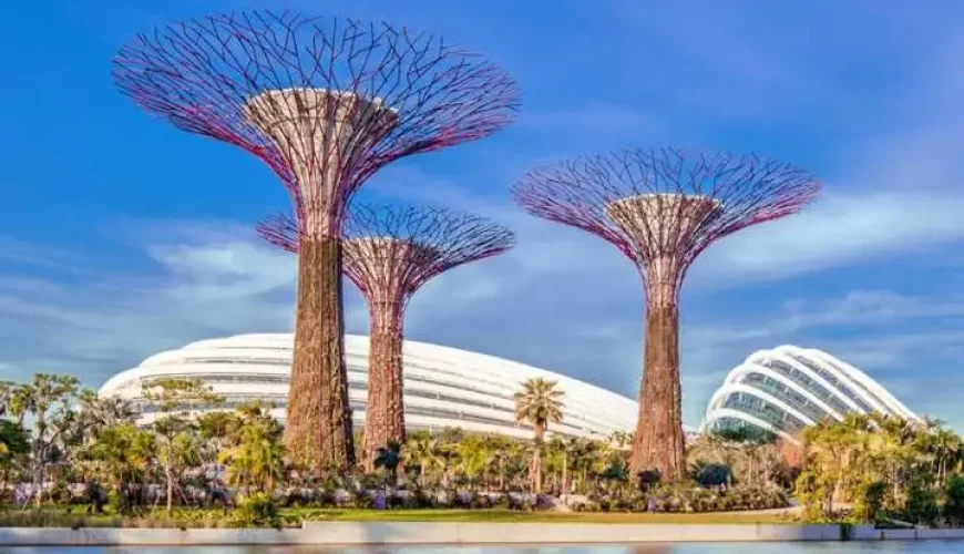 Make Your Trip Memorable With us